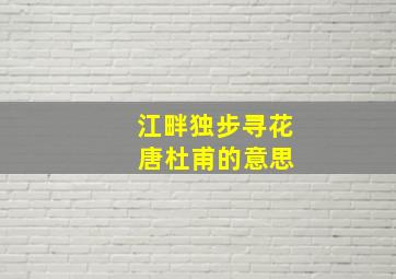 江畔独步寻花 唐杜甫的意思